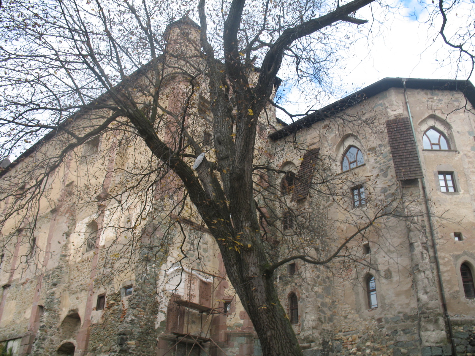 IMG_5462.JPG